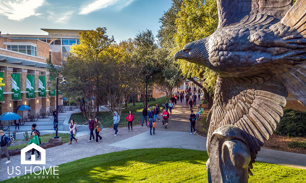 Đại học North Texas - Trường đại học danh giá tại Texas